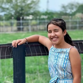 Camping Under the Stars painting item