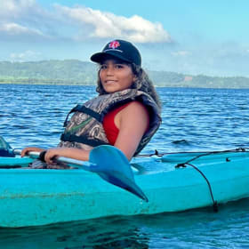 Dolphin Solo painting item