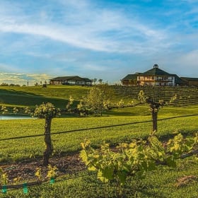 #53 Wine Tasting for 2 at Rayson Winery (Mocksville, NC) item