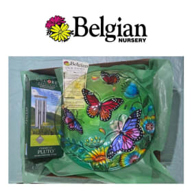 Decorative XL Dish & Windchime from Belgian Nursery item