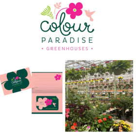 $50 Gift Card to Colour Paradise Greenhouses item