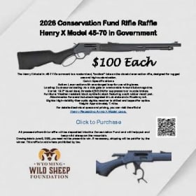 Henry Rifle item