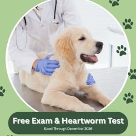 Pinnacle Vet Clinic - Exam & Heartworm Test item