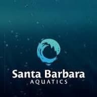 One Session of Group Swim Lessons at Santa Barbara Aquatics item