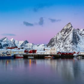 Reine rosée* 20x30 Metal HD item