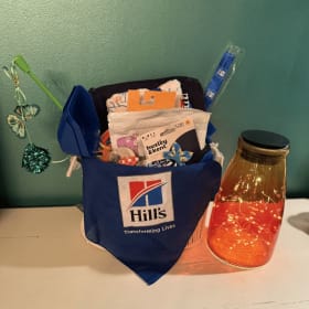 Hills Science Diet - Kitten Basket item