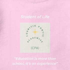 T-shirt item