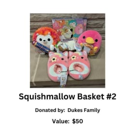 Squishmallow Basket #2 item