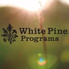 36. White Pine Adventure Bundle: Camp, Gear & Raven Art item