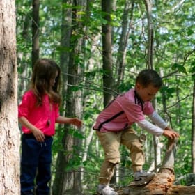 36. White Pine Adventure Bundle: Camp, Gear & Raven Art item