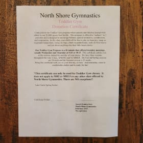 North Shore Gymnastics-  Toddler Gym item