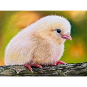 My First Spring item