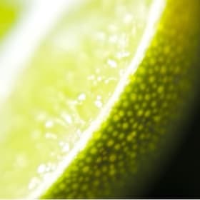 🍹 Salt, Lime & Good Times🍹 item