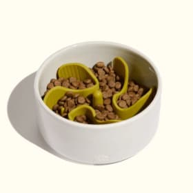 Munch Maze Bowl - Jumble Pets item