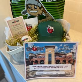 Take me Out to the Ball Game item