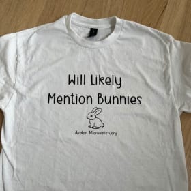 Mention Bunnies T-shirt item