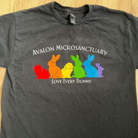 Rainbow bunnies T-shirt item