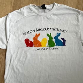 Rainbow bunnies T-shirt item