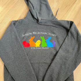 Rainbow bunnies Hoodie item