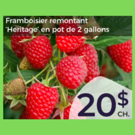 Framboisier Heritage item