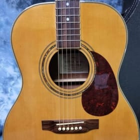 Acoustic Hofner Guitar Sienna Series HAS 05 with Book item