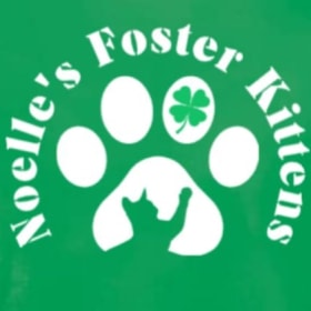 Kitty Shenanigans SM-XL item