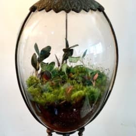 Get Your Hands Dirty with Roosevelt's Terrarium class for 2 item