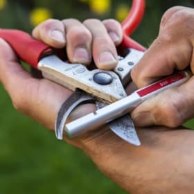 Pruner, Lopper, & Grafting Knife Sharpening item
