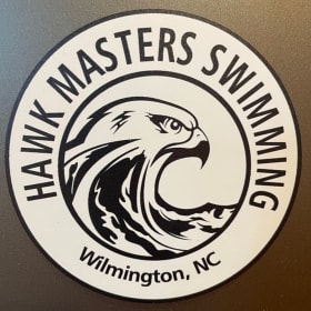 Hawk Car Magnet item