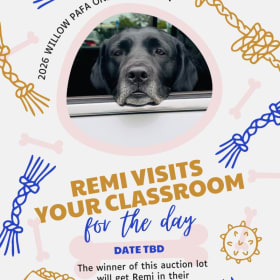 Remi visits your classroom for the day 🐾 item