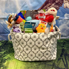 Basket #11: Pet Palooza item