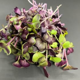 WEEKLY Microgreens MONTHLY payment item