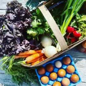 Full Farm Share (Weekly Bag) MONTHLY Payment item