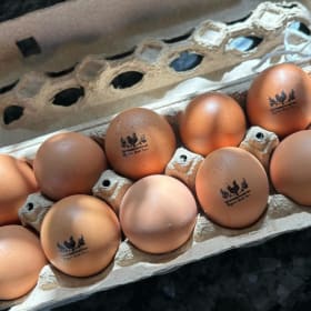 WEEKLY eggs (1 dozen) MONTHLY payment item