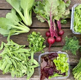 Half Farm Share (Bi-weekly Bag) FULL SEASON payment item