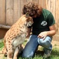 4 General Admission Passes to Animal Adventures item