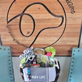 Pinnacle Vet Clinic - Doggie Basket item