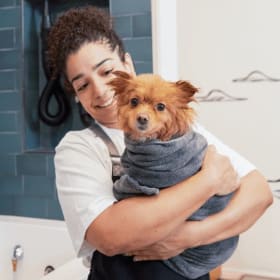 Dog Grooming & Bath Package – Bowie Barker item