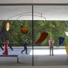 SFMOMA Dual Membership item