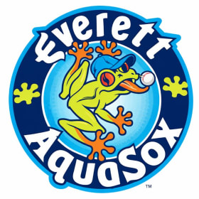 Batter Up! AquaSox Night Out! ($72 Value) item