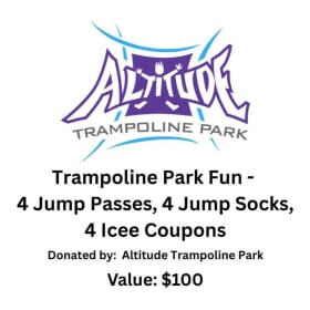 Altitude Trampoline Park for 4 Guests item