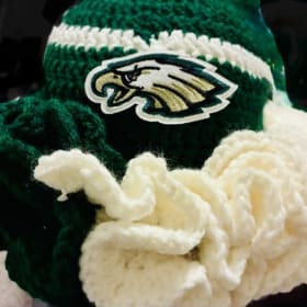 Ready for Some Football? Fly Eagles item