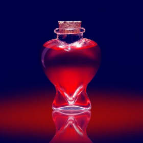 Opera for Two at Canadian Opera Company item