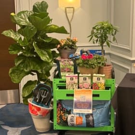 #21 Ready, Set Grow item