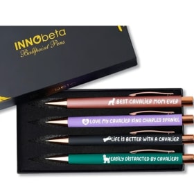 Cavalier Pen set item
