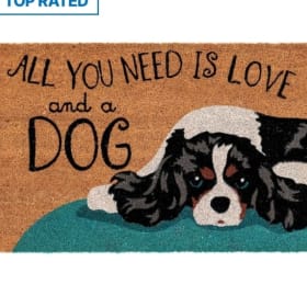 Outdoor Doormat item
