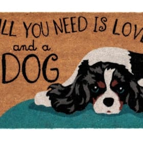 Outdoor Doormat item