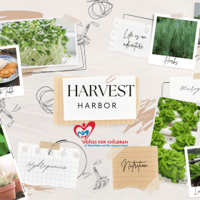 Harvest Harbor item