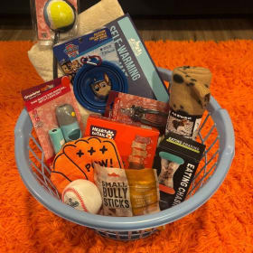 Small to Medium Dog Basket item