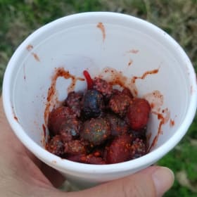 Chamoy DFW item